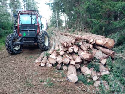 Biete Holzschlägerung