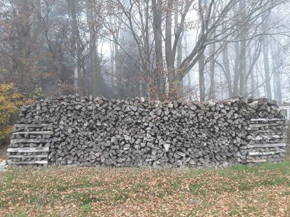 Brennholz gemischt und getrocknet