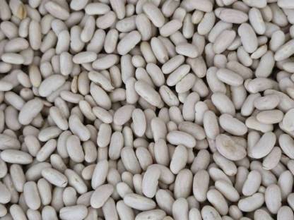 Bild 7:Stangenbohnen