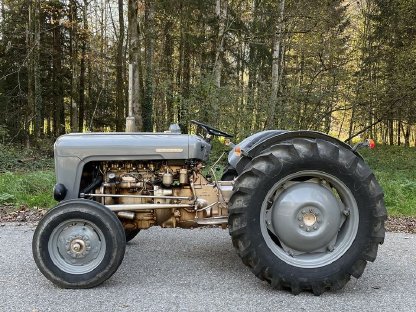 Massey Ferguson 35x Goldbauch