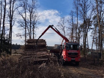 Bild 3:Holzhackmaschine Eschlböck Biber 84 RBZ