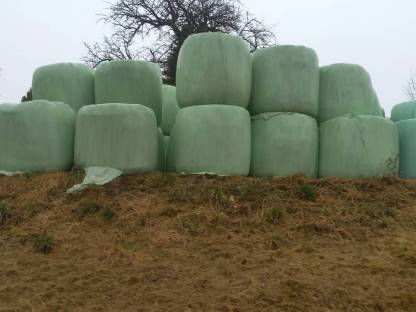 Silageballen