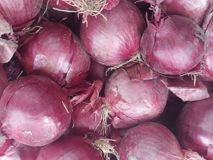 Bild 3:Frühkartoffel und Zwiebel