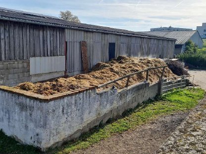 Pferdemist zu verschenken - Selbstabholung in Böheimkirchen