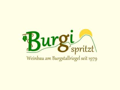 Bild 2:Weißer Spritzer 0,33 l trinkfertig in Glasflasche