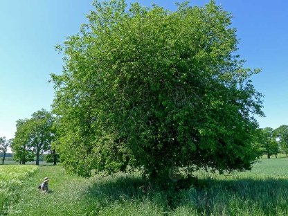 Vermiete Wohnung auf Bauernhof