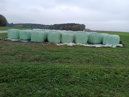 Verkaufe 50 Stk. Silageballen