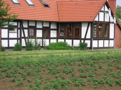 Bild 4:Gemüse und Obst EINKAUFS- und Sortierstelle in WESTPOLEN