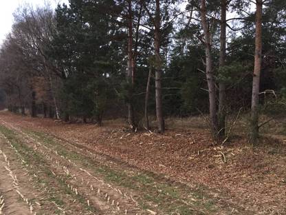 Bild 4:Mulchen von Grünland/ Graben/ Forst und Waldweg