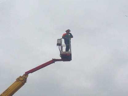 Bild 2:Lohnholzspalten, Baumfällung, Holzverkauf