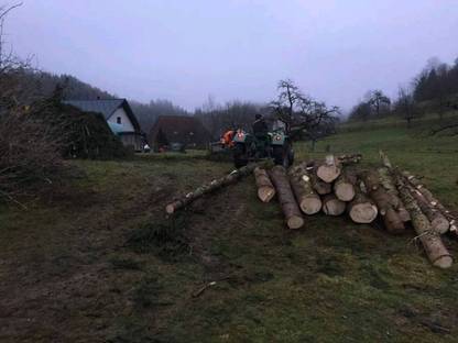 Bild 3:Abholzungen / Häckseldienst