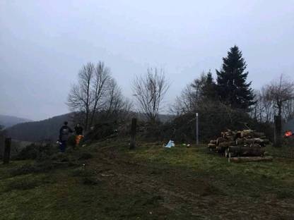 Bild 2:Abholzungen / Häckseldienst