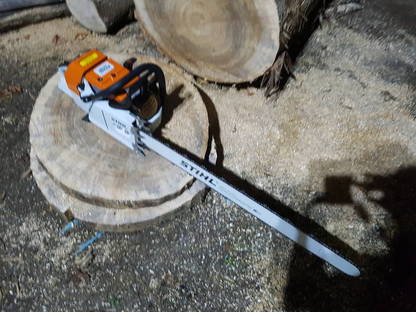 Bild 4:Übernehme Fällung von Bäumen in Übergröße