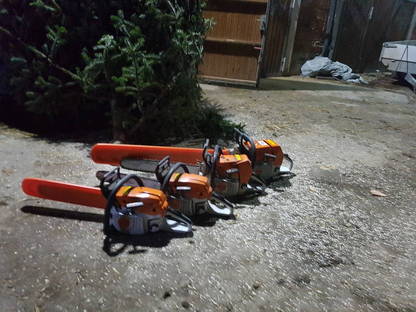 Bild 3:Übernehme Fällung von Bäumen in Übergröße