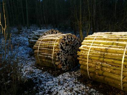 Bild 2:Übernehme Bündelarbeiten