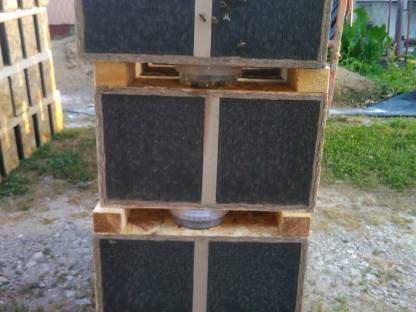 Bild 2:Natur Honig aus Kroatien