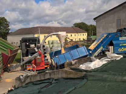 Bild 3:Mais CCM Lohnmusen