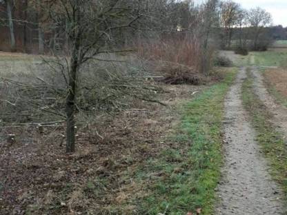Bild 3:Landschaftspflege, Hecken, Energieholz und Bäume fällen