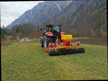 Bild 2:Nachsaat und Neueinsaat