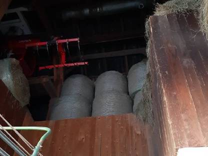 Bild 2:Schönes sonniges Heu, 1. Schnitt