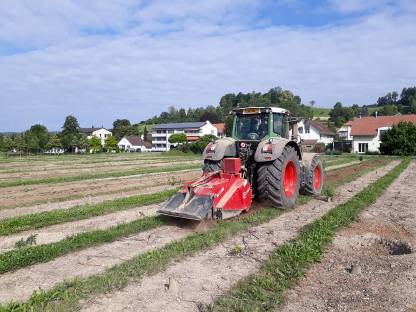 Bild 2:Baumstockfräsen Wurzelfräsen Stubbenfräsen Rodungsfräse