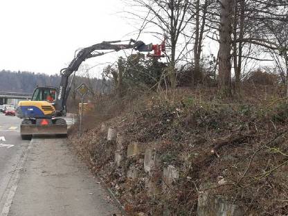 Bild 2:Baumfällarbeiten Rodungen Spezialfällung Gehölzpflege