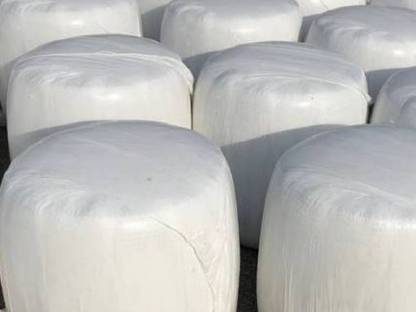 BIO Silageballen - ampferfrei