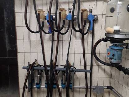 Bild 3:Melkanlage