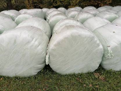 Bild 3:Siloballen - Ernte 2025