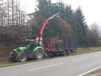 Bild 3:Baumfällarbeiten Rodungen Spezialfällung Gehölzpflege
