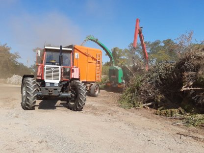 Bild 5:Hackguterzeugung und Transport, Hackschnitzel