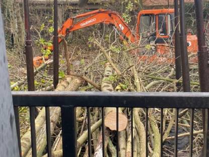 Bild 2:Baumschneiden grundstücks rodungen