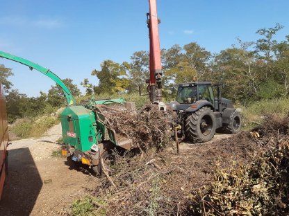 Bild 3:Hackguterzeugung und Transport, Hackschnitzel