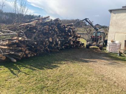 Bild 3:Erd- & Forstarbeiten