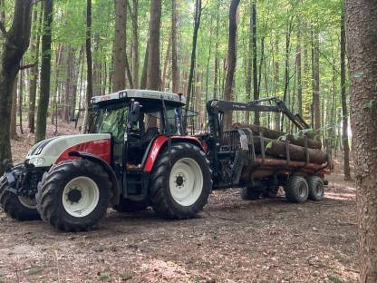 Bild 6:Erd- & Forstarbeiten