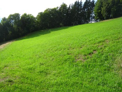 Bild 2:Mähflächen zu vergeben