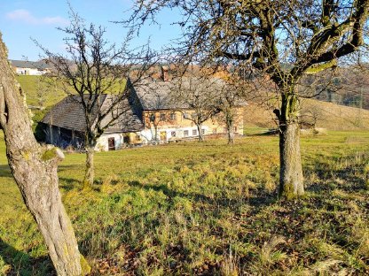 Bauernhöfe: OÖ / Feldkirchen a.D. - VERKAUF v. Landwirtschaft, ca. 20 ha kaufen - Landwirt.com
