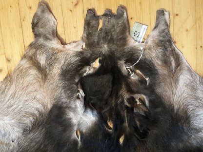 Bild 2:Achtung Rarität! Verk. Schweinefell!