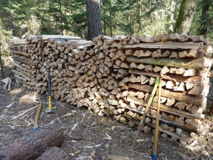 Brennholz weich, 1 m Scheiter