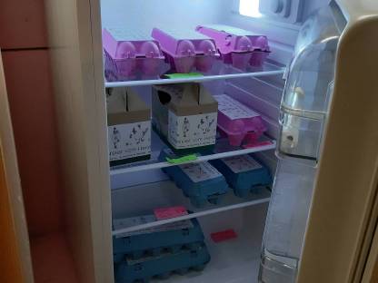 Bild 2:Eier ab Hof von unseren Wanderhendln