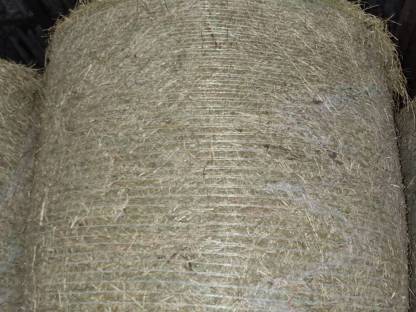 Heuballen 2. Schnitt