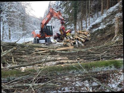 Bild 3:Biete BAUMAUSFORMEN mit Baggerprozessor