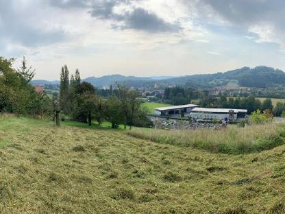 Bild 2:Landschaftspflege, Mäharbeiten, Forstmulchen,Durchforstungen