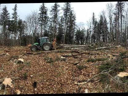 Bild 8:Biete BAUMAUSFORMEN mit Baggerprozessor