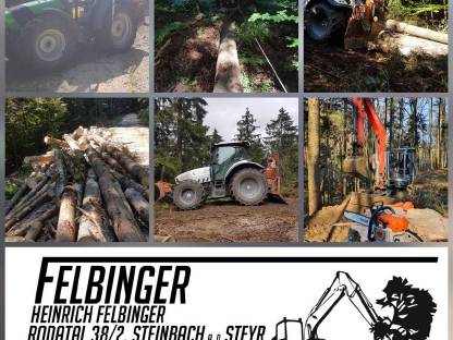 Bild 6:Biete BAUMAUSFORMEN mit Baggerprozessor