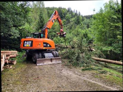 Bild 4:Biete BAUMAUSFORMEN mit Baggerprozessor