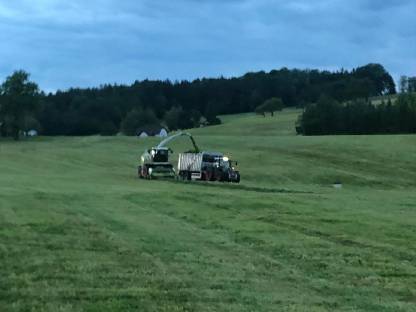 Bild 3:Gras / Mais häckseln