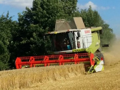 Mähdrescher Claas Lexion 650