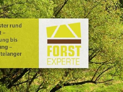 Bild 9:Forstmulchen Forstfräsen Stockfräsen Steinfräsen Aufforstung