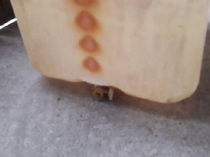 Bild 2:IBC Tank, 1.000 l